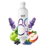 Soof Sirup - Heidelbeere, Lavendel, Schwarze Johannisbeere & Apfel - natürlicher Getränkesirup - ...