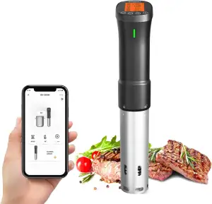 Inkbird Sous Vide Stick 1000 Watt,ISV-200W Sous Vide Garer App-Steuerung,360° Zi