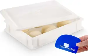 DIE BOX FABRIK 1 Pizzaballenbox Gusto + 1 Deckel, 40x30x7 cm | Gärbox, Teigwanne für Pizzateig. Teigbox für 6 Pizzaballen, Pizzateigbehälter (1 Gusto Box + 1 Deckel)