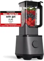 SPRINGLANE Hochleistungsmixer Hanno – Smoothie Maker 2000 W 32000 U/min mit Selbstreinigungsfunktion – inkl. Rezeptheft & Stößel