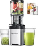 AMZCHEF Entsafter Slow Juicer 136 mm – Saftpresse Elektrisch für Gemüse & Obst – Cold Press Juicer mit 2 Filtern – Leise & Leicht zu Reinigen - Silber