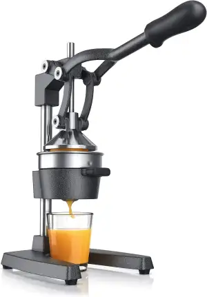Arendo - Saftpresse - Handentsafter Edelstahl - mechanischer Entsafter – Orangen